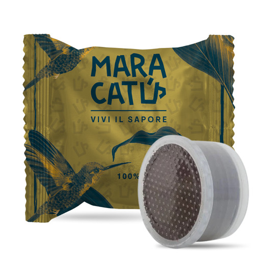 500 capsule maracatú - maracatú, 100%